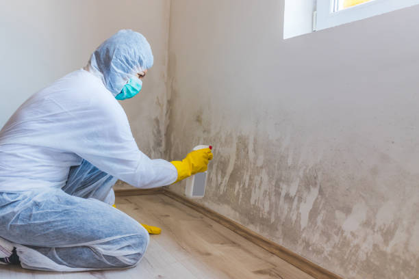 Licensed Crawl Space Mold Removal service in Ebensburg, PA - WQB Mold Removal