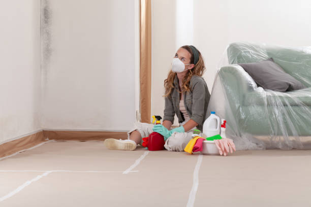 Trusted Crawl Space Mold Removal service in Ebensburg, PA - WQB Mold Removal