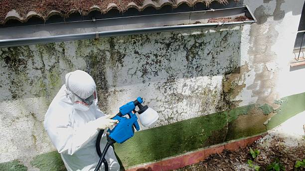 Top rated local Crawl Space Mold Removal specialists in Ebensburg, PA